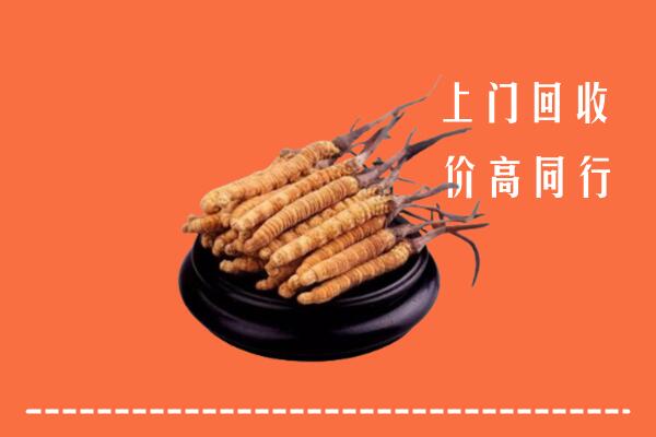 高价求购：邯郸丛台回收散虫草