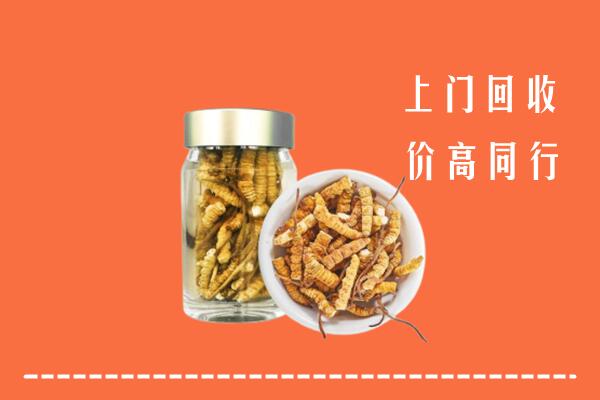 邯郸丛台回收冬虫夏草
