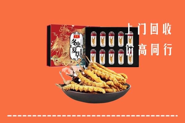 邯郸丛台回收虫草